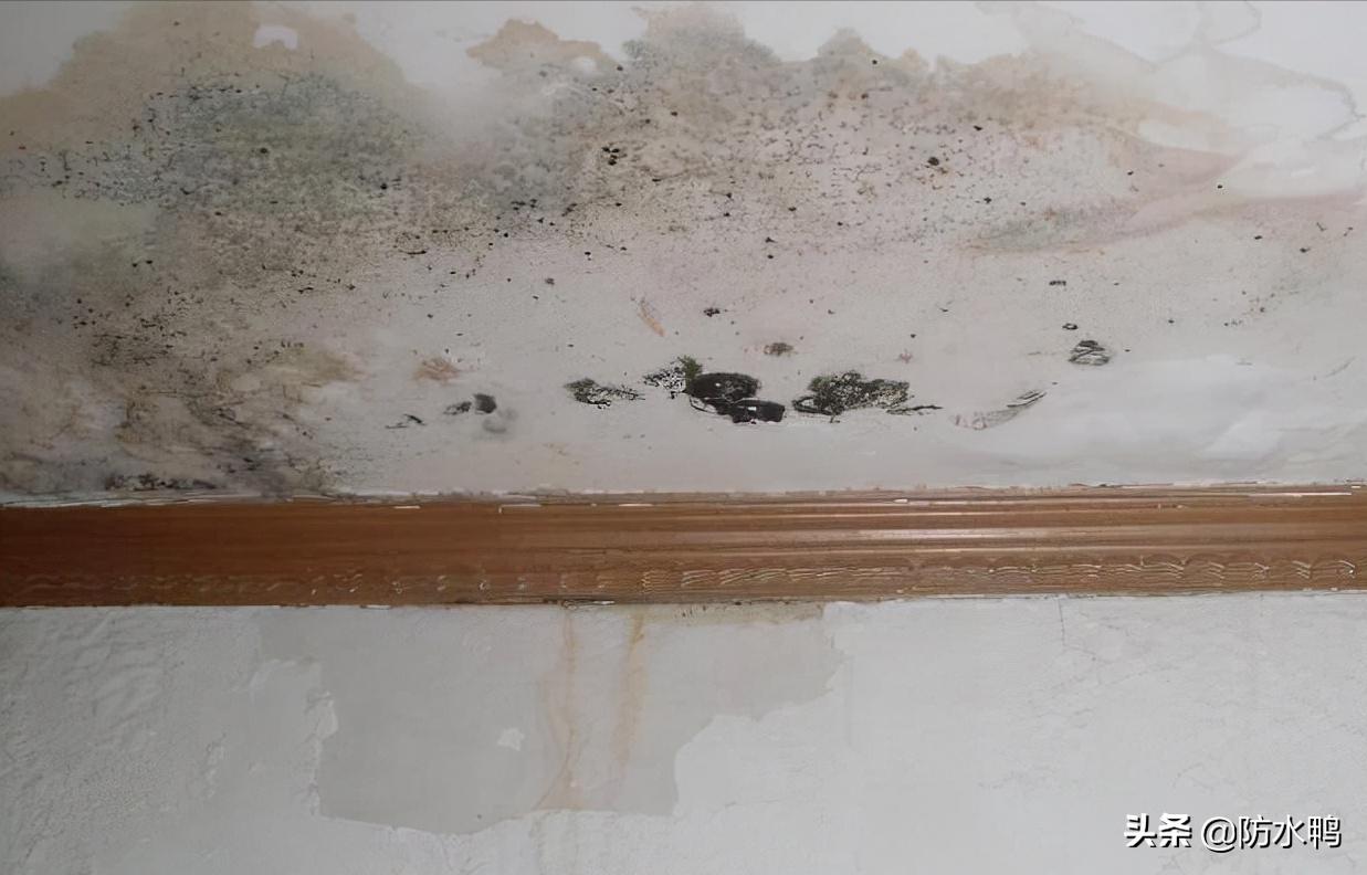 屋顶重做防水还是漏,目前屋顶防水的最好方法是什么