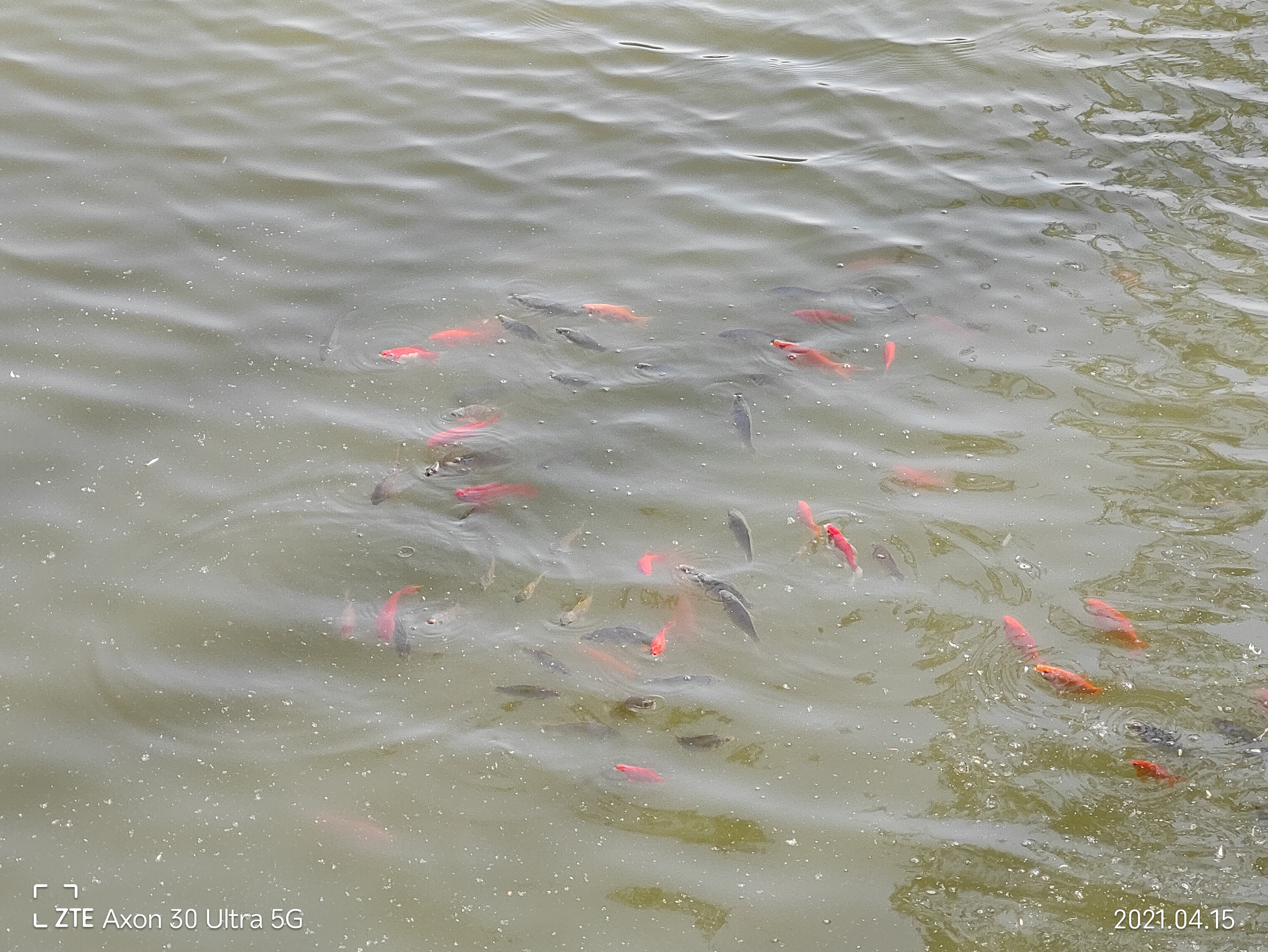 中兴axon30pro测评小白测评,中兴axon30ultra三千新机能入手吗