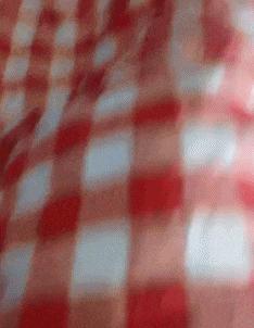 在野外发现甘蔗,在山里发现甘蔗