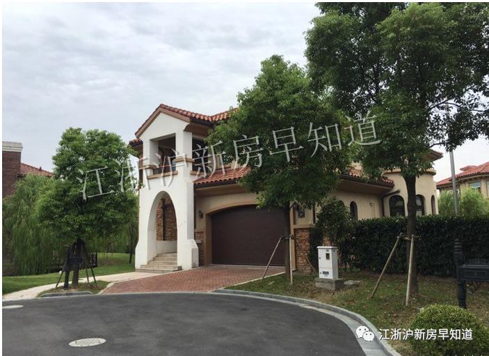 迪士尼别墅楼盘,上海浦东迪士尼花海自建房出售