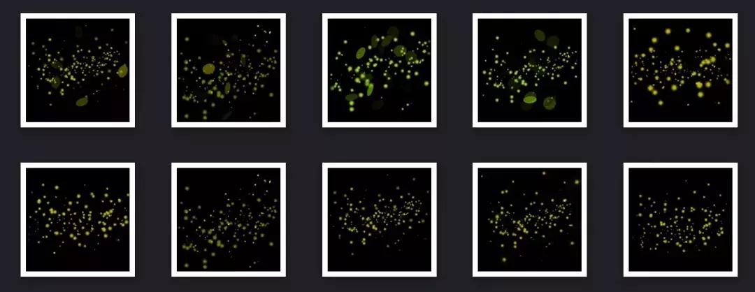 摄影后期萤火虫,浪漫摄影教学后期
