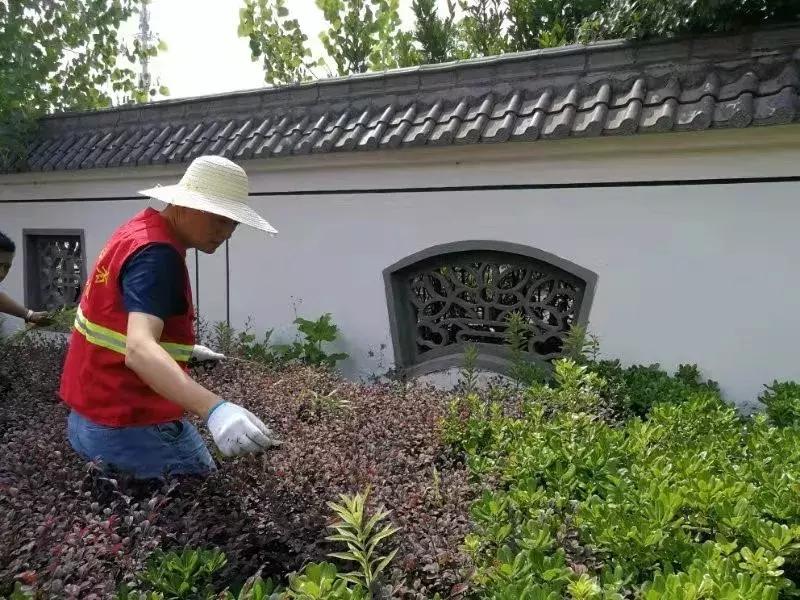 栖霞公路环境整治,栖霞市综合治理