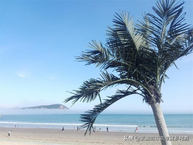 辽宁大连长海县盛茂休闲渔家，伸手就能摸到海？莫非建在海面上？