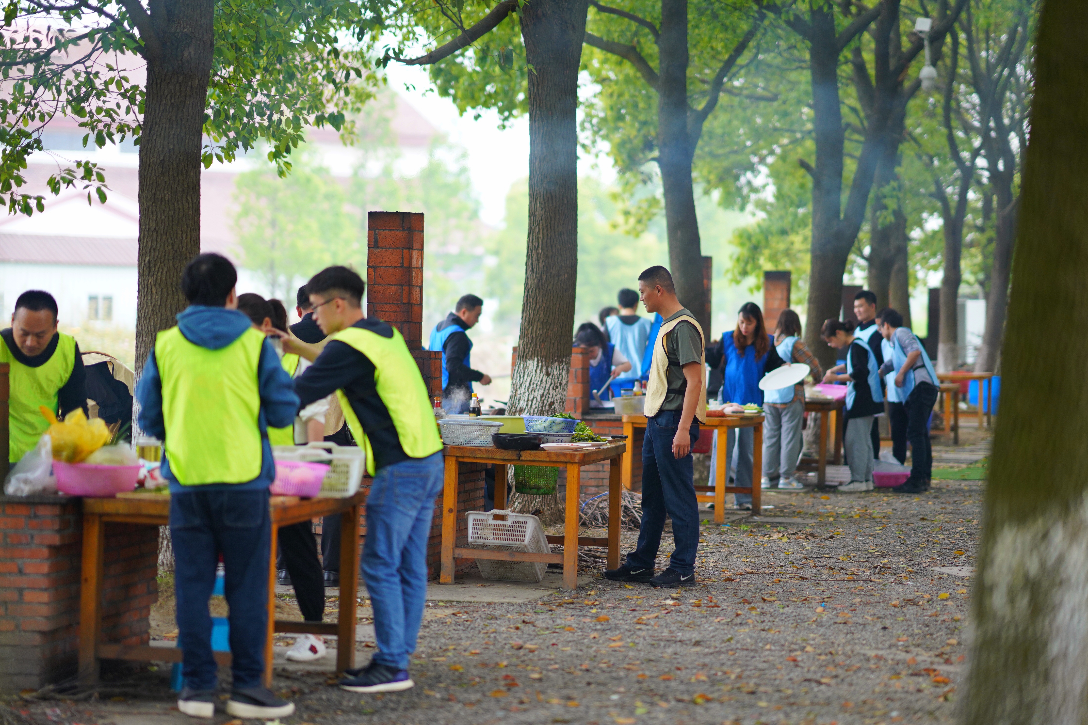 苏州特色民宿推荐,苏州最有特色民宿推荐