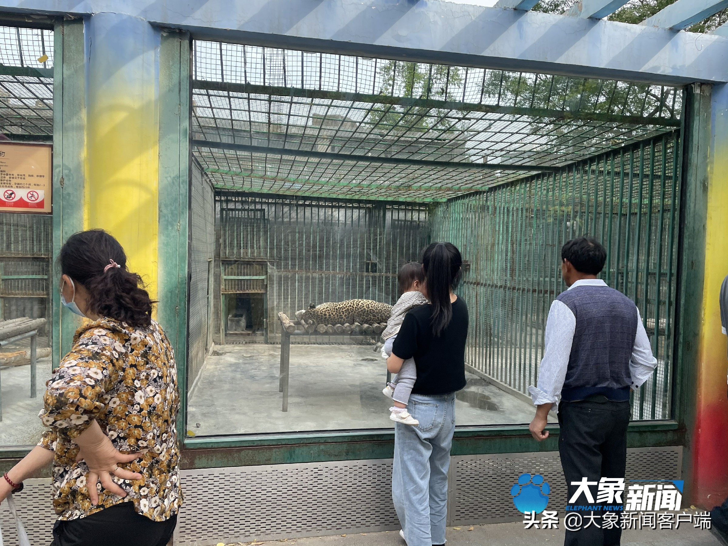 郑州动物园6点闭园就撵人吗,郑州动物园为什么有规则