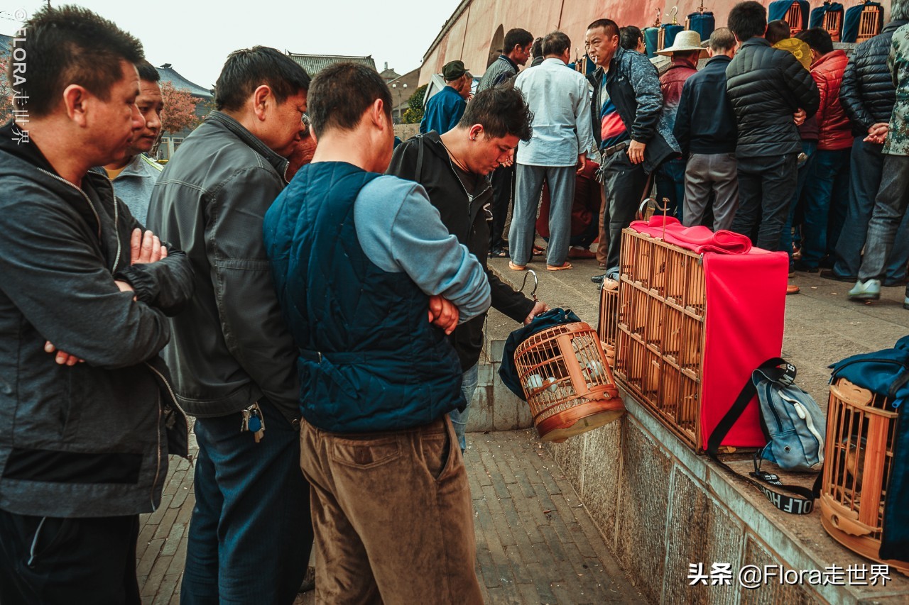 建水古城一座来了就不想走的古城,云南鲜为人知的秘境古城建水