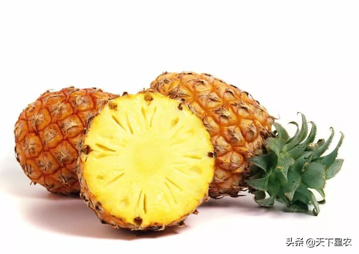 菠萝凤梨樱桃车厘子图,成都车厘子和樱桃的区别