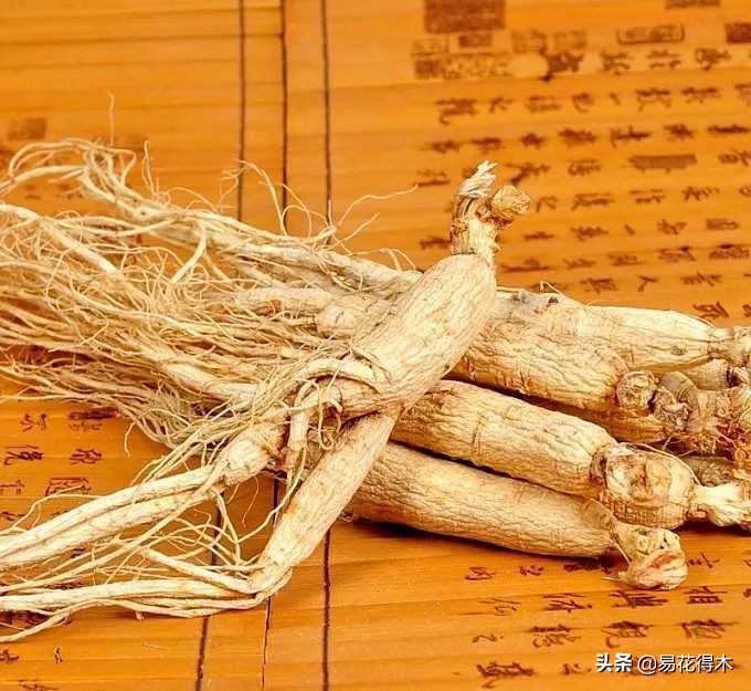 刺五加和五加皮的区别图片对比,刺五加是种什么药材