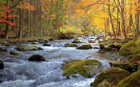 下肢瘙痒、起疹子，皮肤溃烂可能是静脉曲张惹的祸？医生告诉您