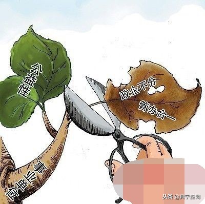 如何区分事业单位分类,事业单位几类是怎么划分的