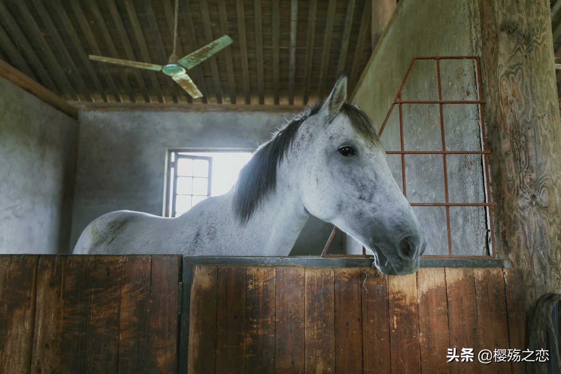 度假好去处嘉兴清池温泉度假村,嘉兴度假村旅游景点大全