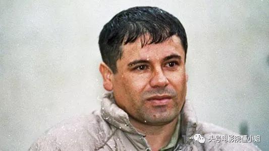 9.1分高能剧回归开局燃爆,9.1分高能剧回归开局燃爆多少集