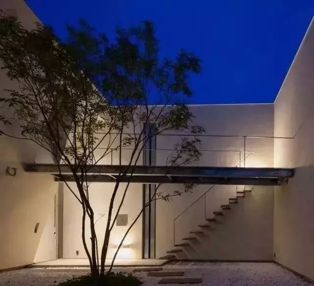 室内做的景观,室内景观打造过程