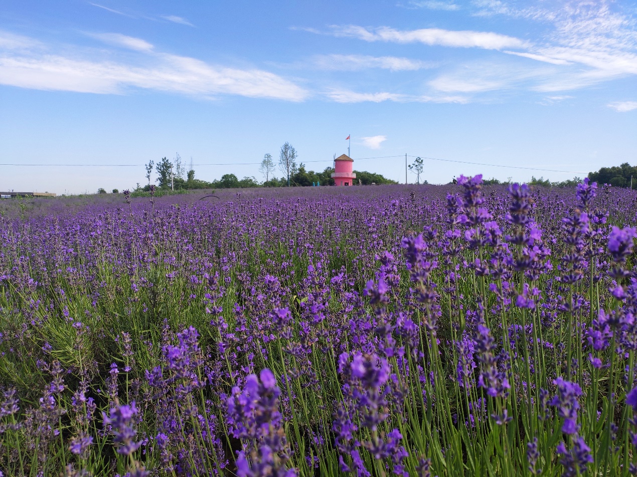 九月最美的旅行地方有哪些,十一推荐这10个秋天最美的旅行地