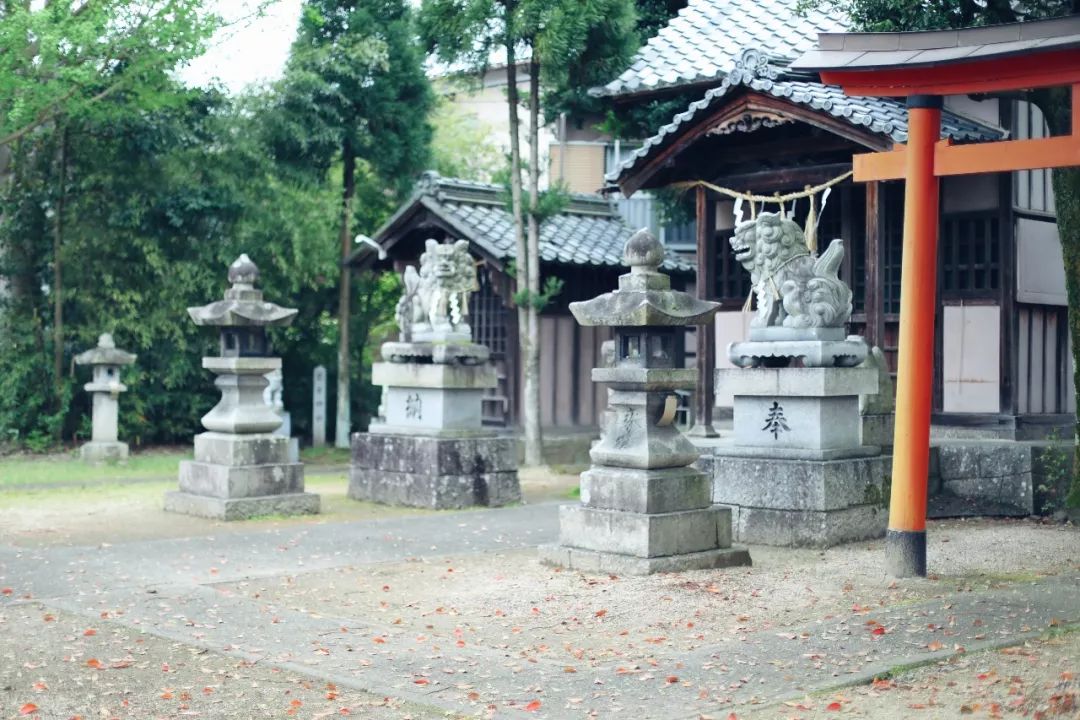 带父母豪华游轮环球旅行,带着父母们出游