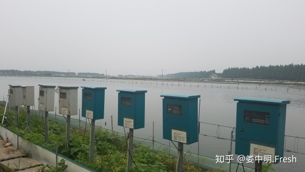 正宗阳澄湖大闸蟹几月份可以吃到,阳澄湖大闸蟹一般什么季节比较好