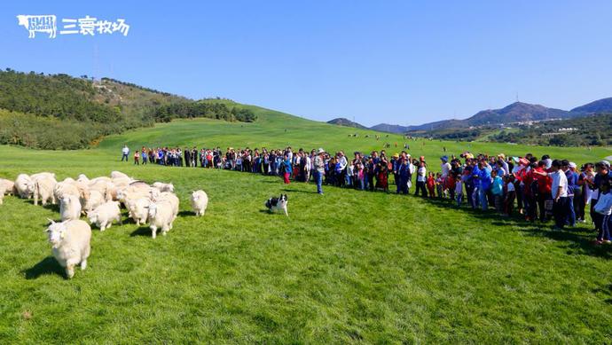 三寰牧场游玩日记大连,大连三寰牧场周围景点
