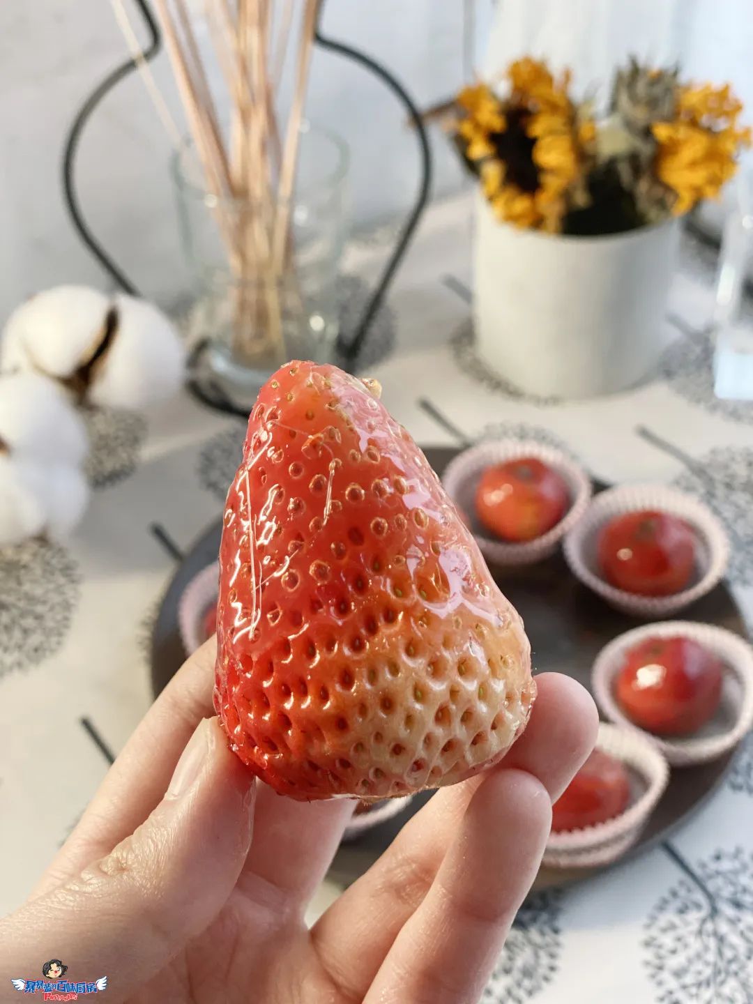 整个朋友圈都在刷《动森》，而我却爱上了在厨房刷锅