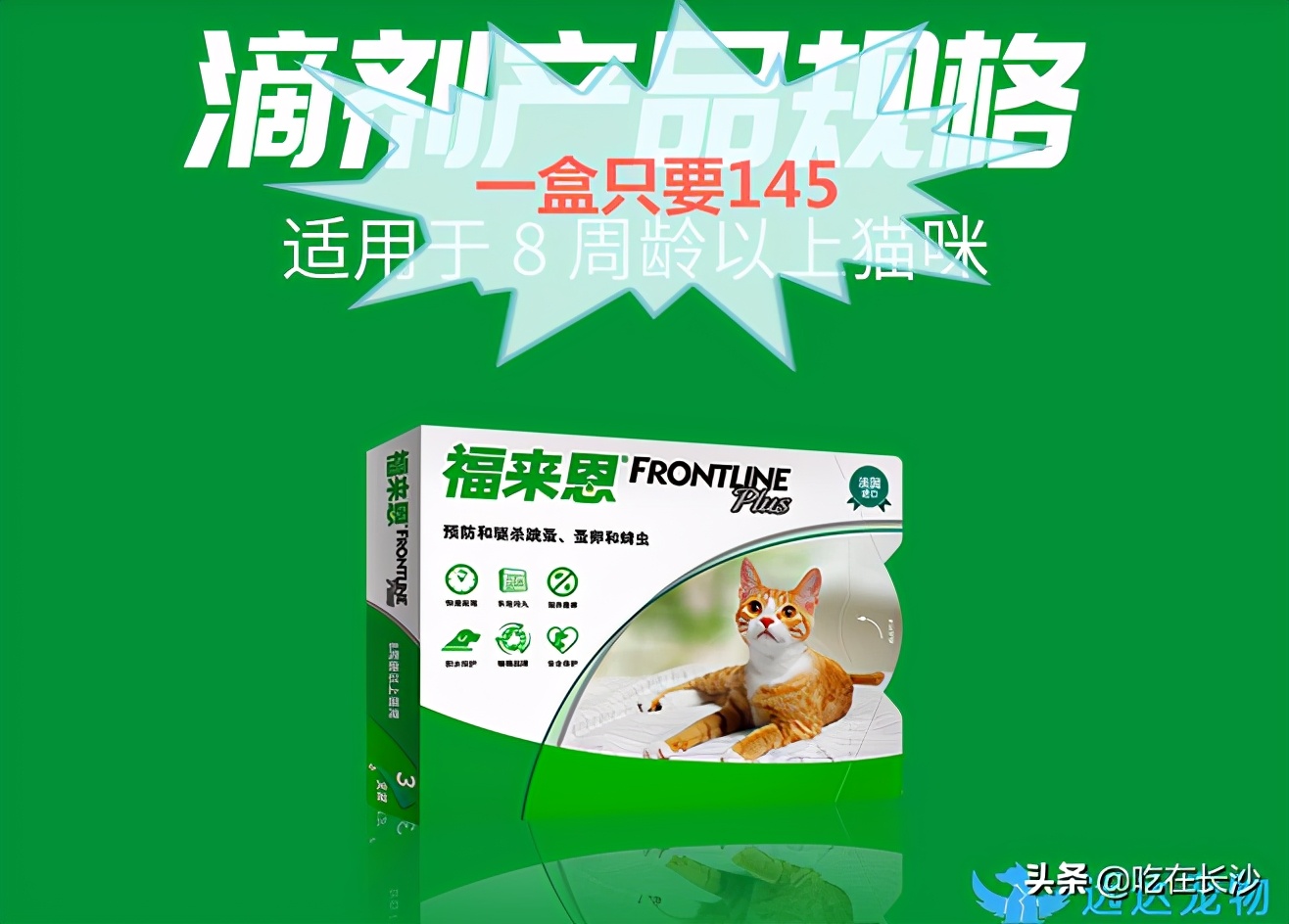 猫猫体内驱虫和体外驱虫多久一次,宠物驱虫体外教程