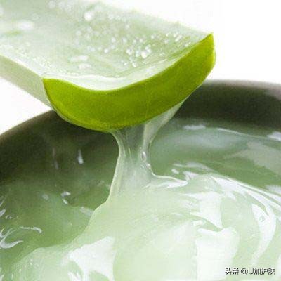 芦荟100种使用方法,芦荟的10个小妙招