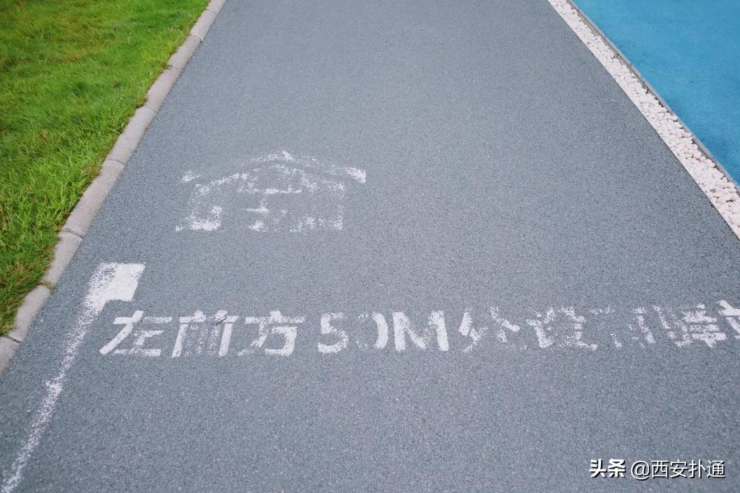 西安大草坪公园推荐,西安有大草坪的公园