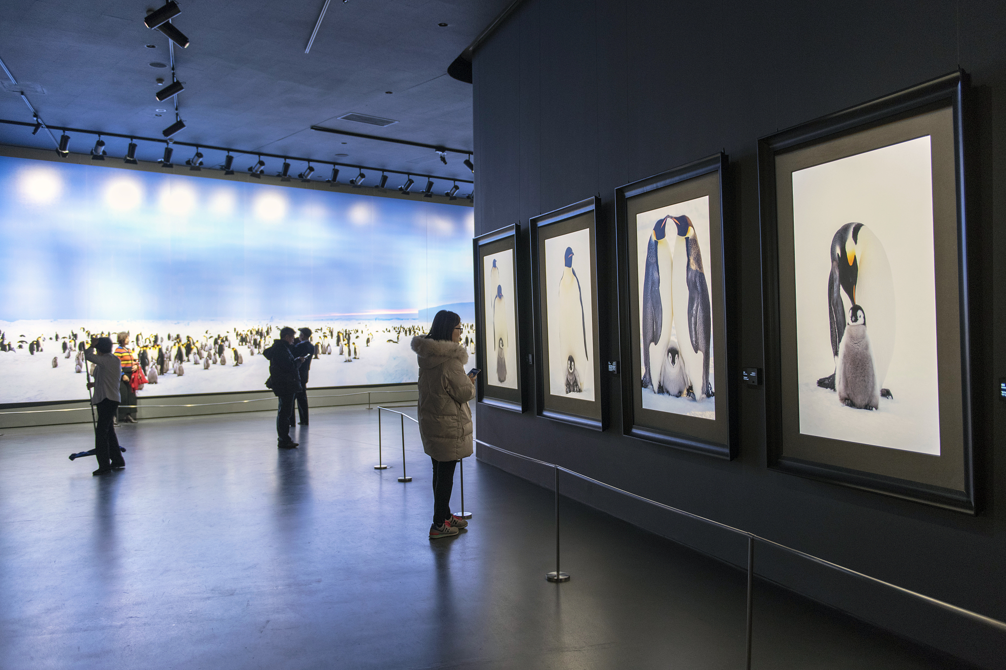 好利来辟谣与*藏西**冒险王事件有关联!老板爱摄影,因母亲开蛋糕店