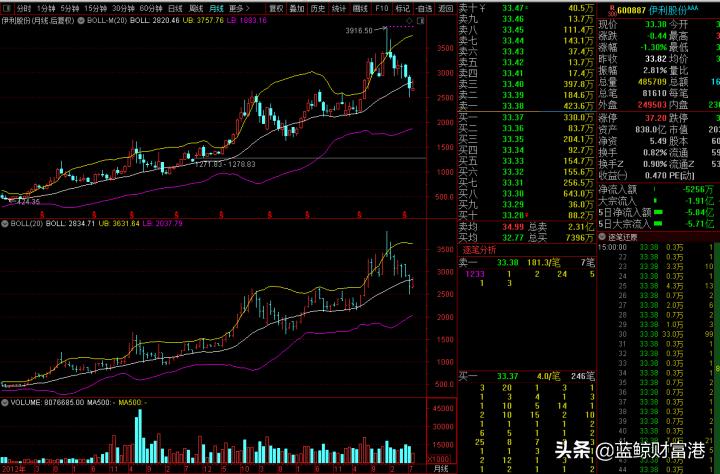 伊利股价还能往下跌多少,伊利股份未来十年股价能超500元吗