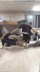 搞笑gif惊讶原来渣猫长这个样子,搞笑gif段子最后这只猫也太萌了吧