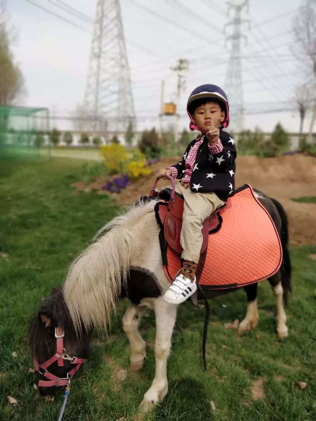 春末夏初,美美的三炫等你来