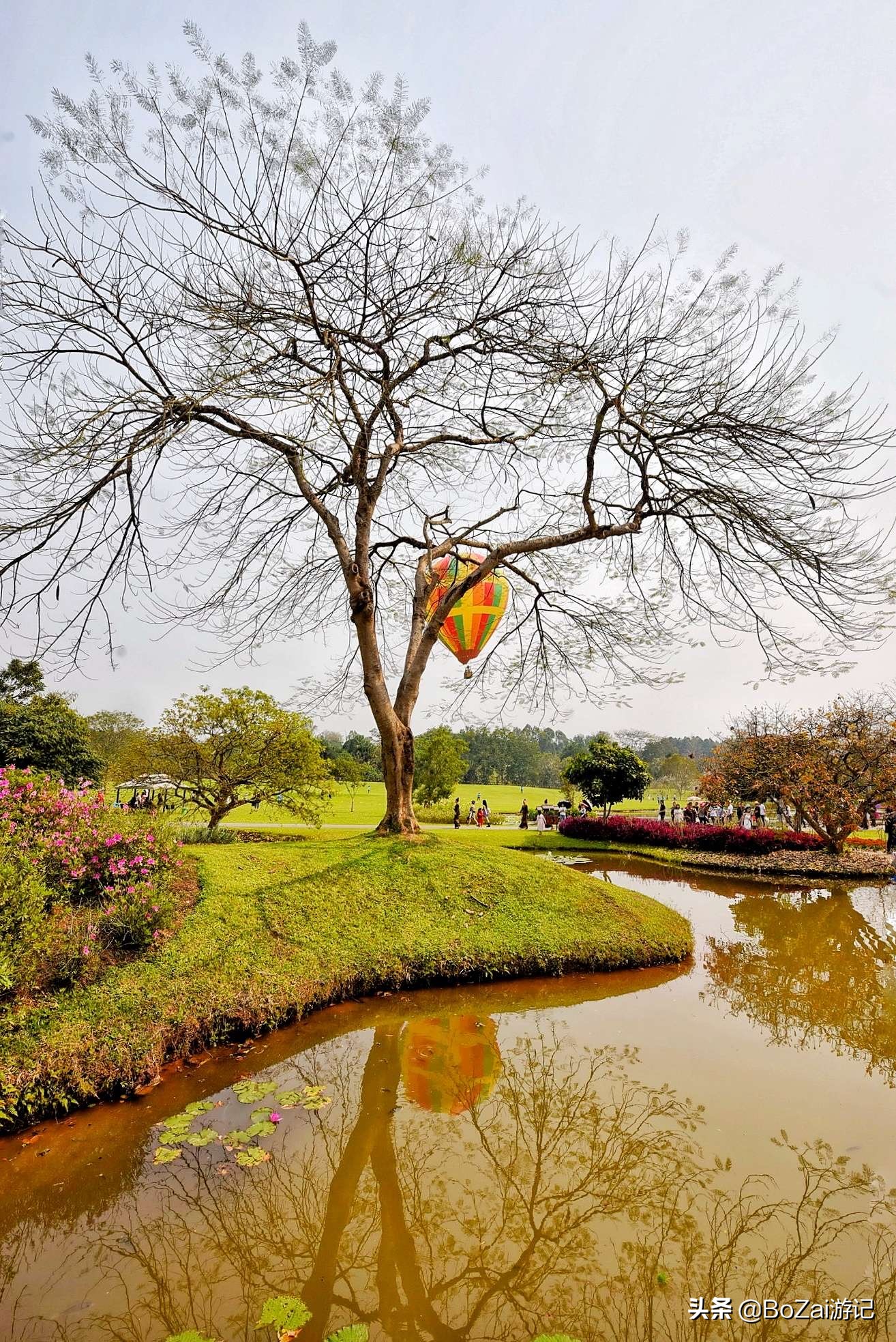 云南西双版纳到文山途经哪些景点,西双版纳适合6-12岁儿童的景点