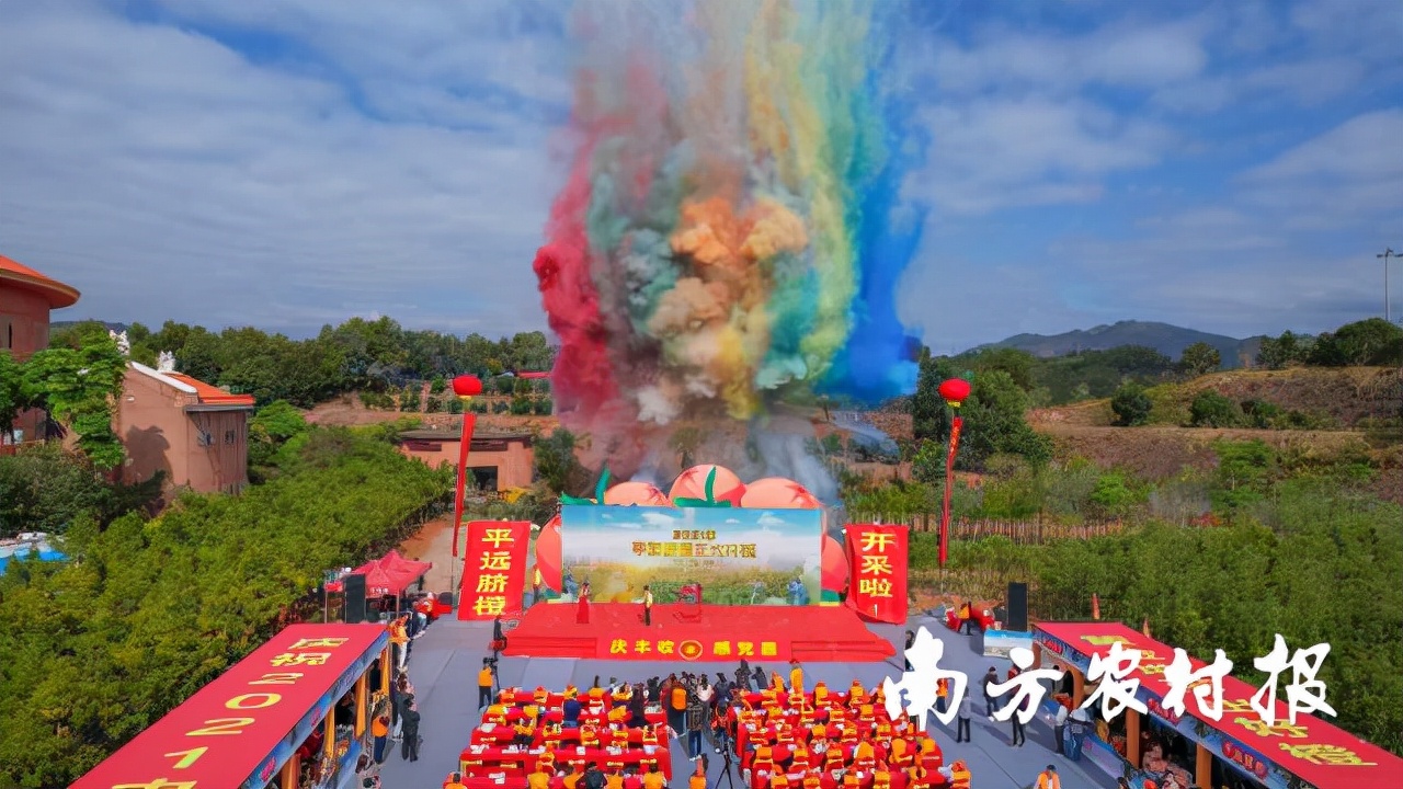 丰收节梅州,梅州丰收节高清图片