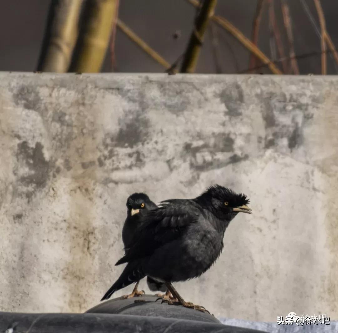 「徐水映像」换个角度看保定徐水,美