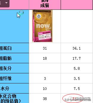 猫粮now评测,进口猫粮到底怎么选