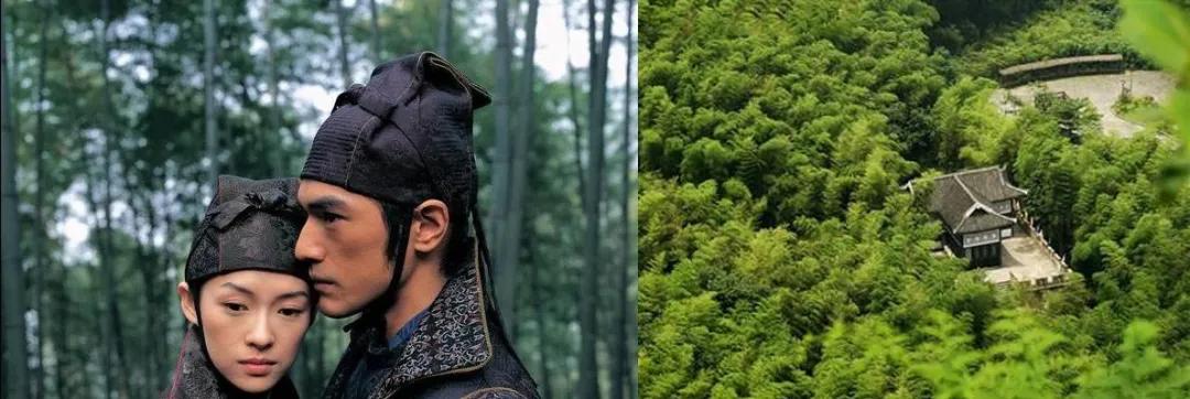 竹林被韩国申遗成功了吗,全球唯一申遗的古茶山