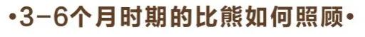 比熊犬怎么养？比熊犬吃什么？养比熊有哪些注意事项？?