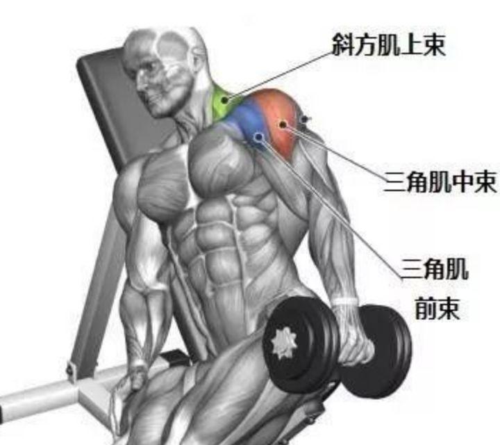 wildfieldhealth牌子如何,wildfieldhealthcare