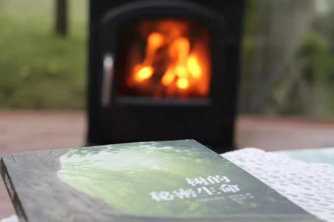 成都民宿推荐青城山,青城山花娟树屋民宿