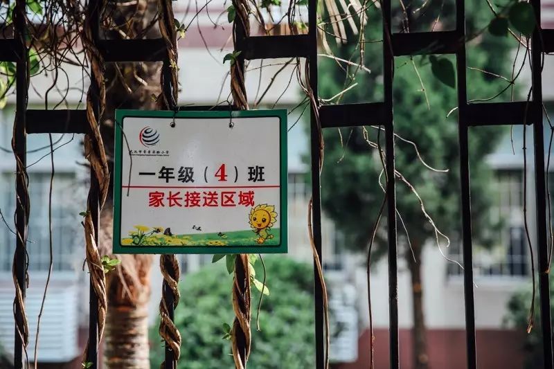 武汉住得最舒服的小区,武汉常青花园哪个小区最热闹