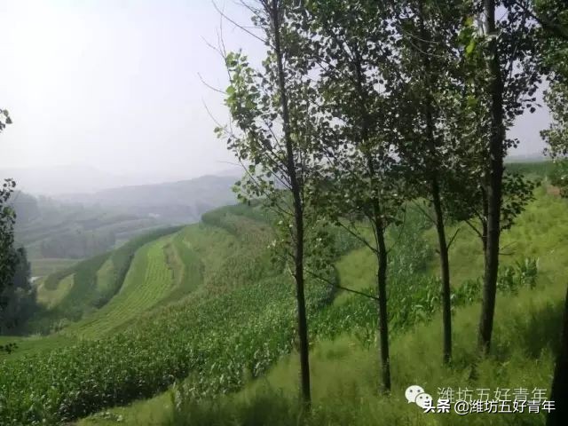 西行纪最后片段,西行纪第22天终结篇