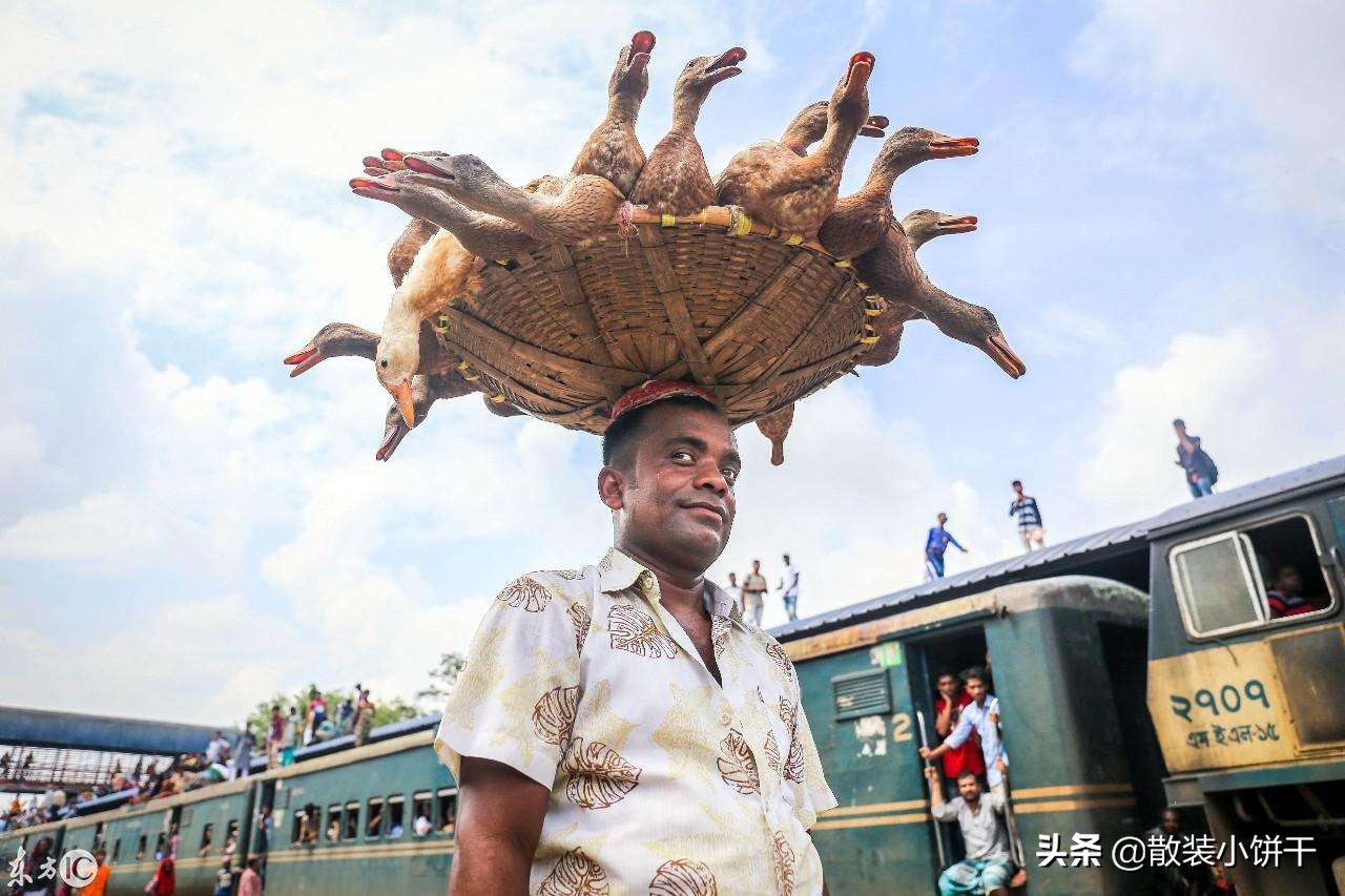 终随松柏到冰霜,终随松柏到冰霜完整版