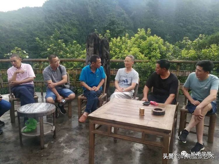 广东的盆景有哪些,适合广东玩的盆景