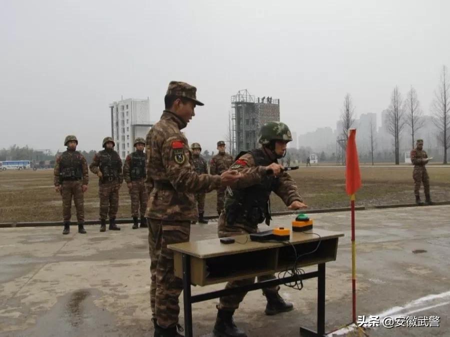 纪实视频,记实记录