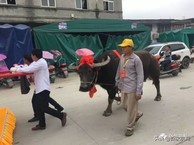 阜南张氏祠堂落成庆典仪式,张氏祠堂唱戏人山人海