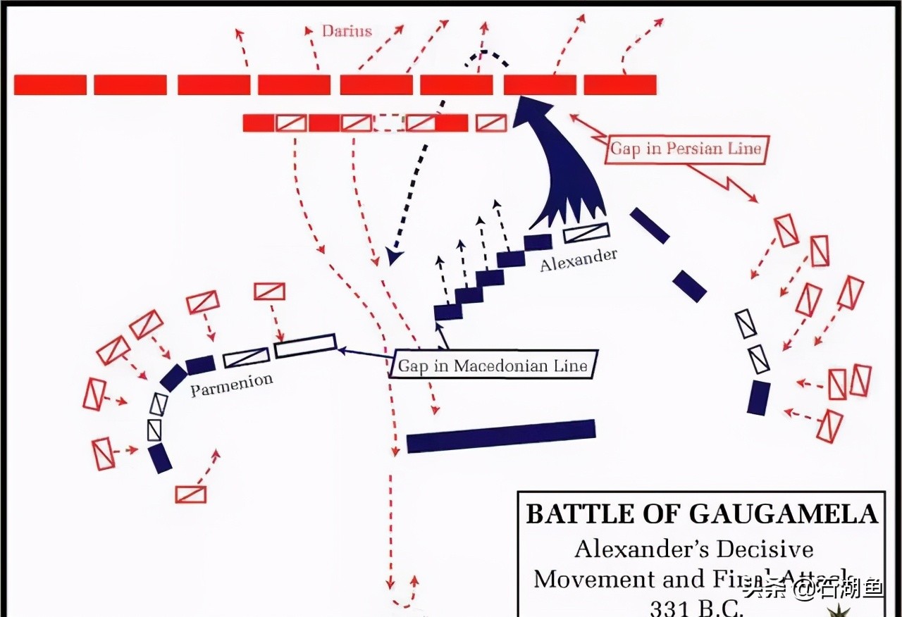 亚历山大大帝东征走错路,亚历山大东征全过程