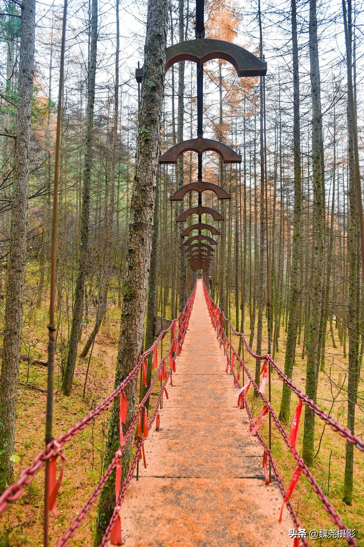 留坝秦岭之夜,留坝秦岭森林公园