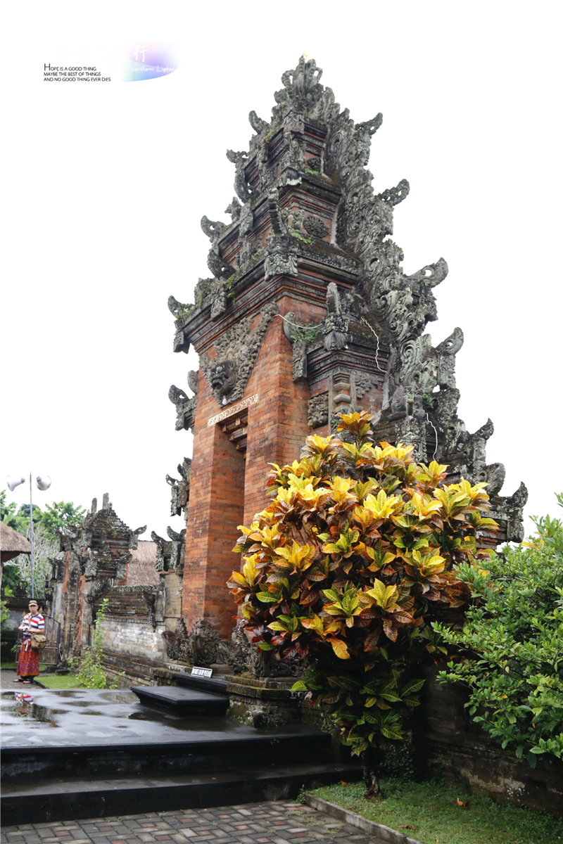 在印尼见识传说中最昂贵的猫屎咖啡