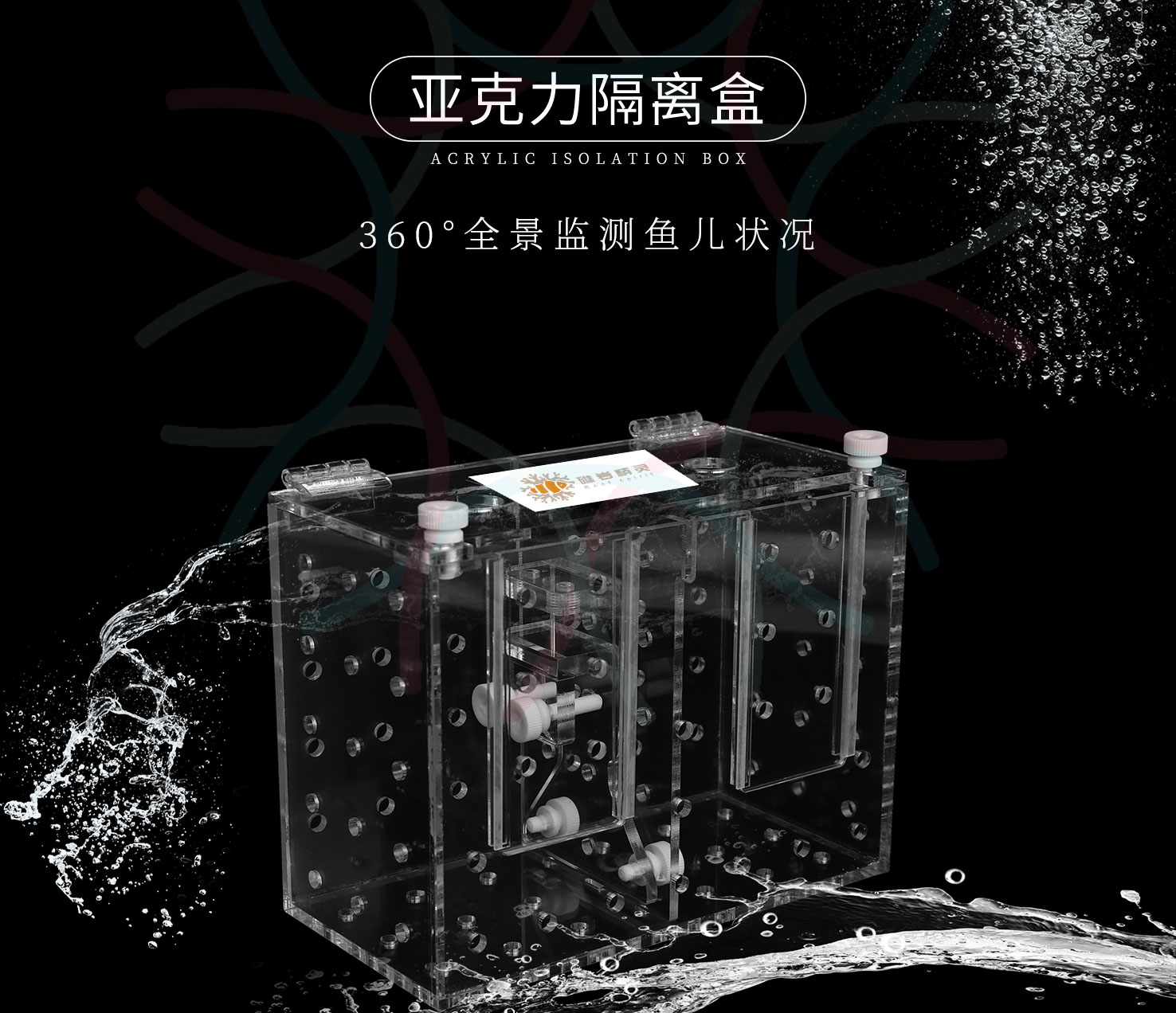 海精灵鱼友快问快答，这些你都知道吗？