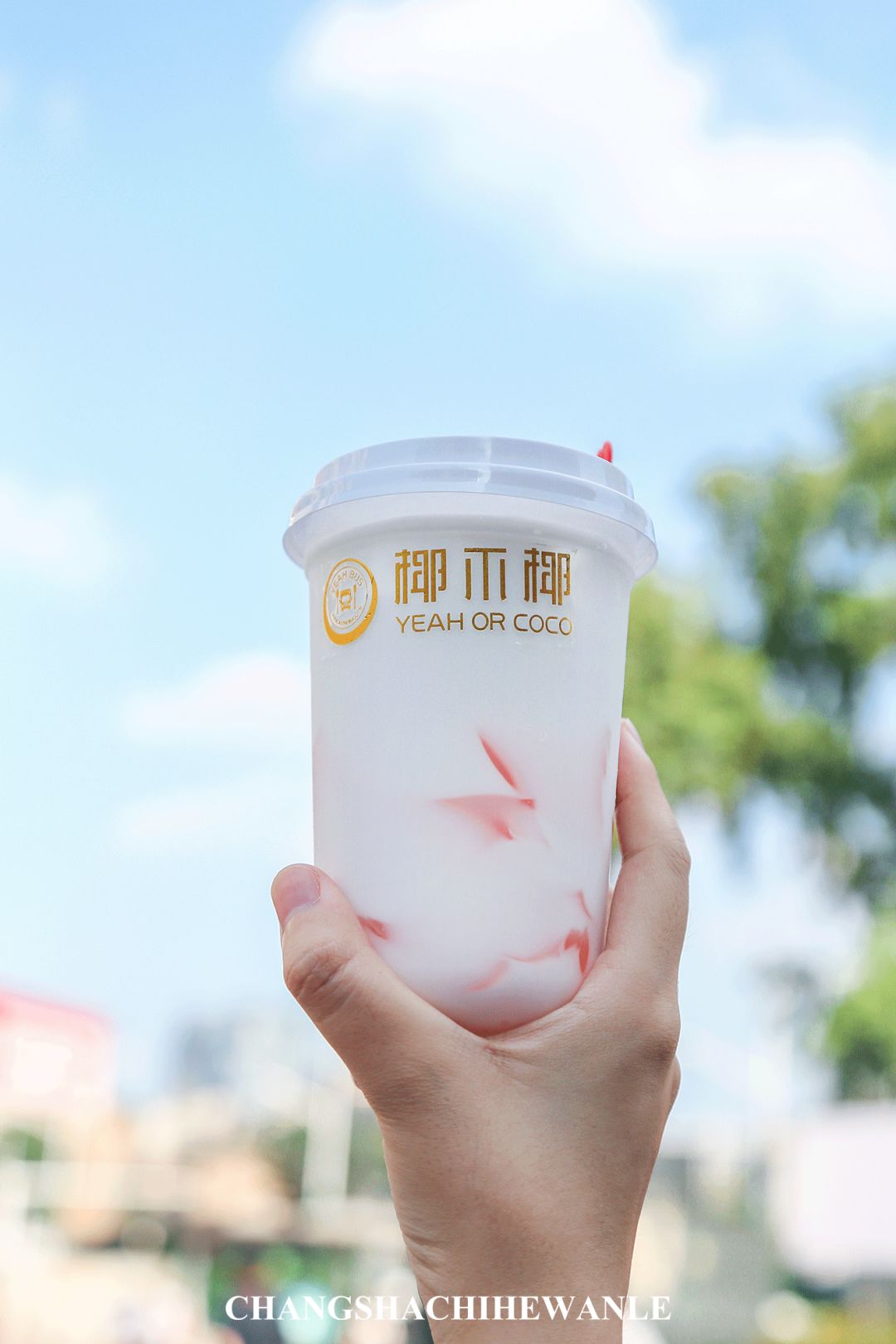 夏天必做必吃的美食冰镇西瓜,夏天最适合吃的西瓜美食