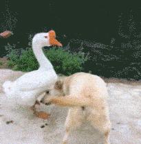 30种网赚骗术套路揭秘超深度干货,常见的20种网赚骗术揭秘