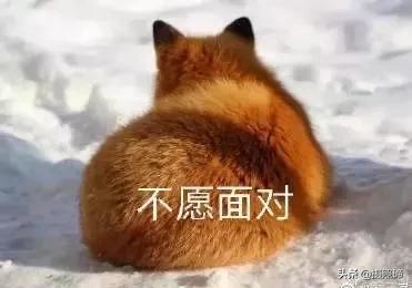 害怕镜头怎么克服,害怕镜头怎么拍视频